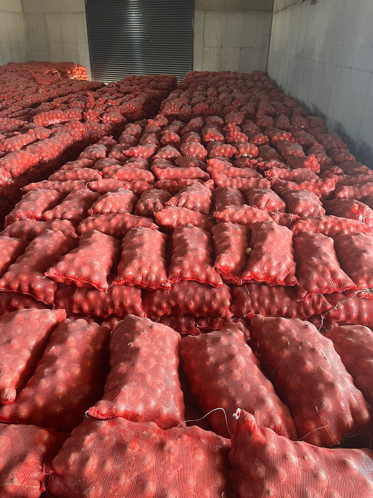 Onions (in personalized packaging) from Turkey